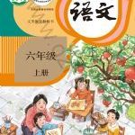 校园科普活动怎么组织:让孩子在体验中建立科学兴趣