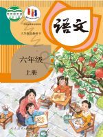校园科普活动怎么组织：让孩子在体验中建立科学兴趣